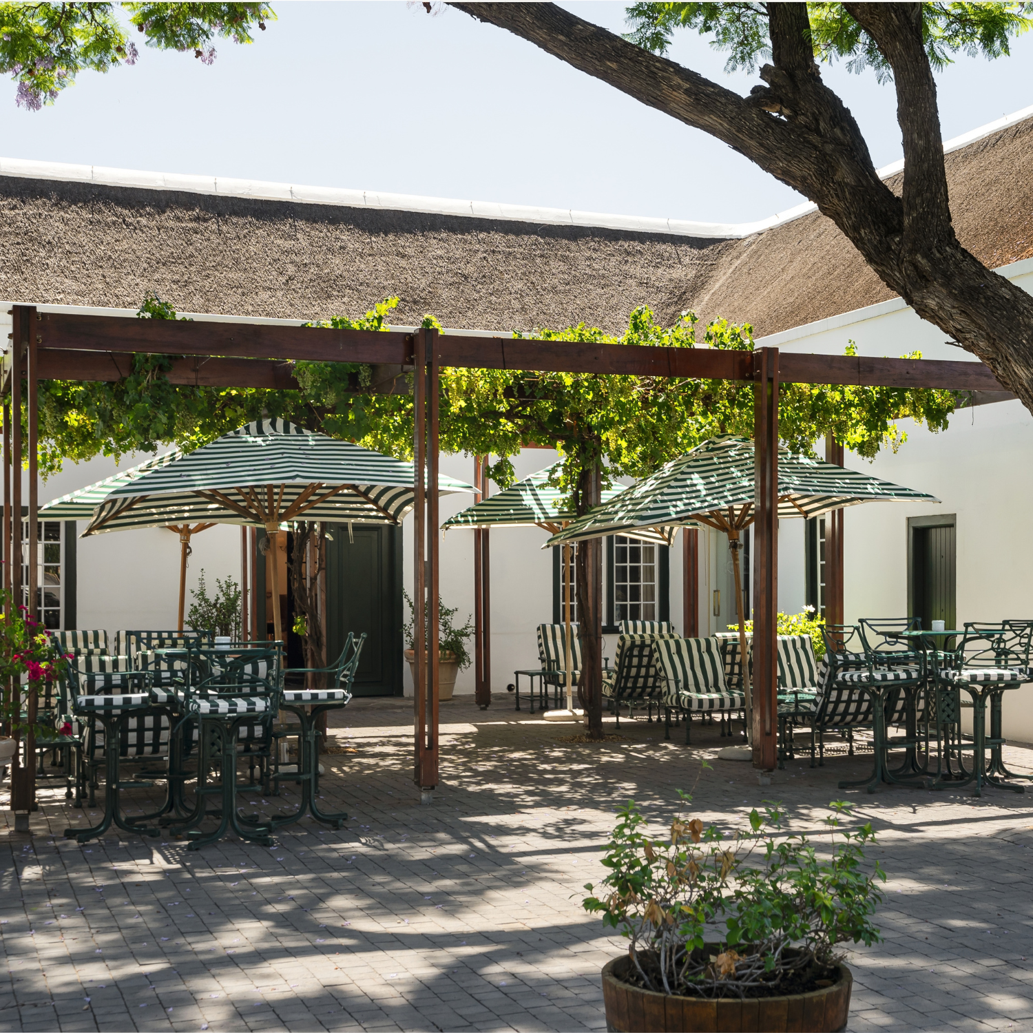 Drostdy - Restaurant Images (15)